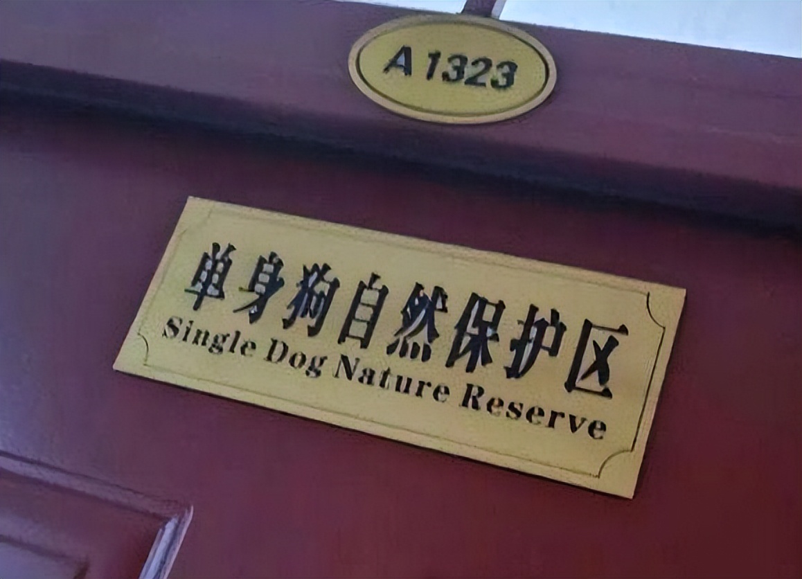 大学换宿舍（大学生宿舍装修火了）