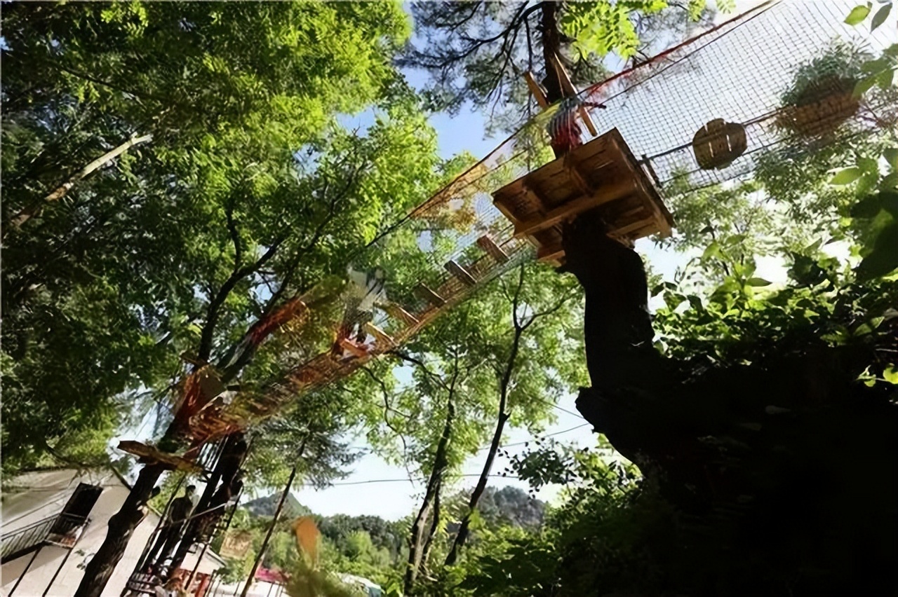 因麥積山而來 留植物園忘返！麥積山植物園帶你體驗叢林探險的樂趣