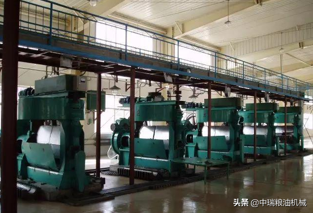 山茶果怎么榨油？榨山茶油的专用机器