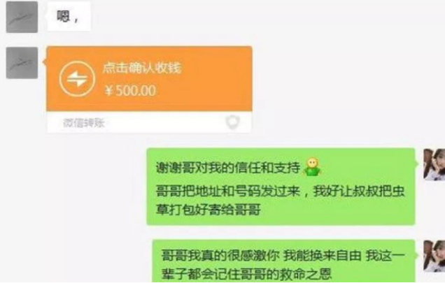 “虫草姑娘”的苦情戏骗局：虚构悲惨身世，专挑中年已婚男子下手