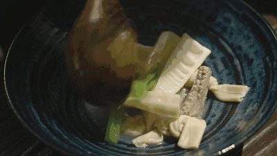 这才是中国最美的春天