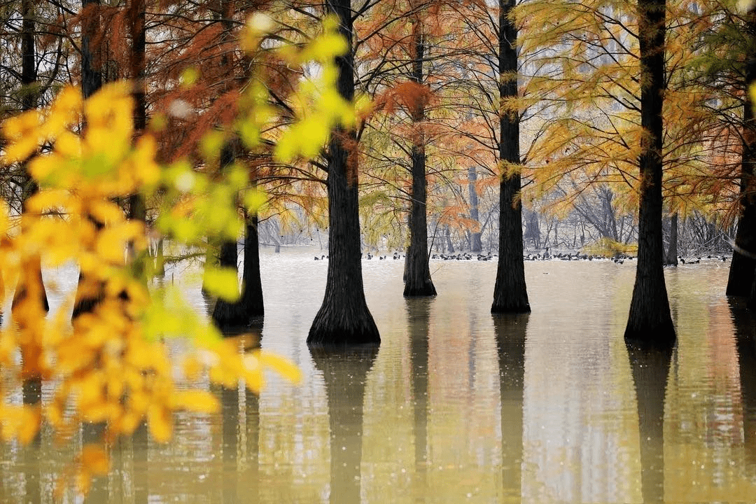 南京十大网红景点，景美独特好玩