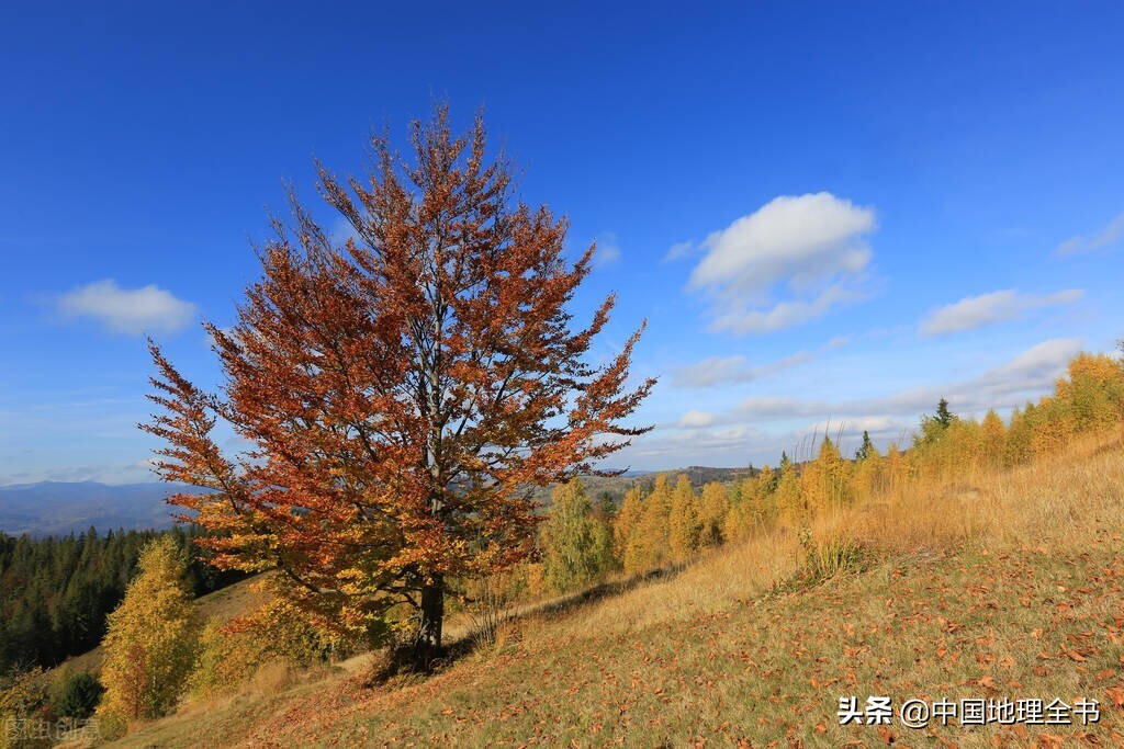 乌克兰的国土面积有多大（乌克兰人口与面积简介）