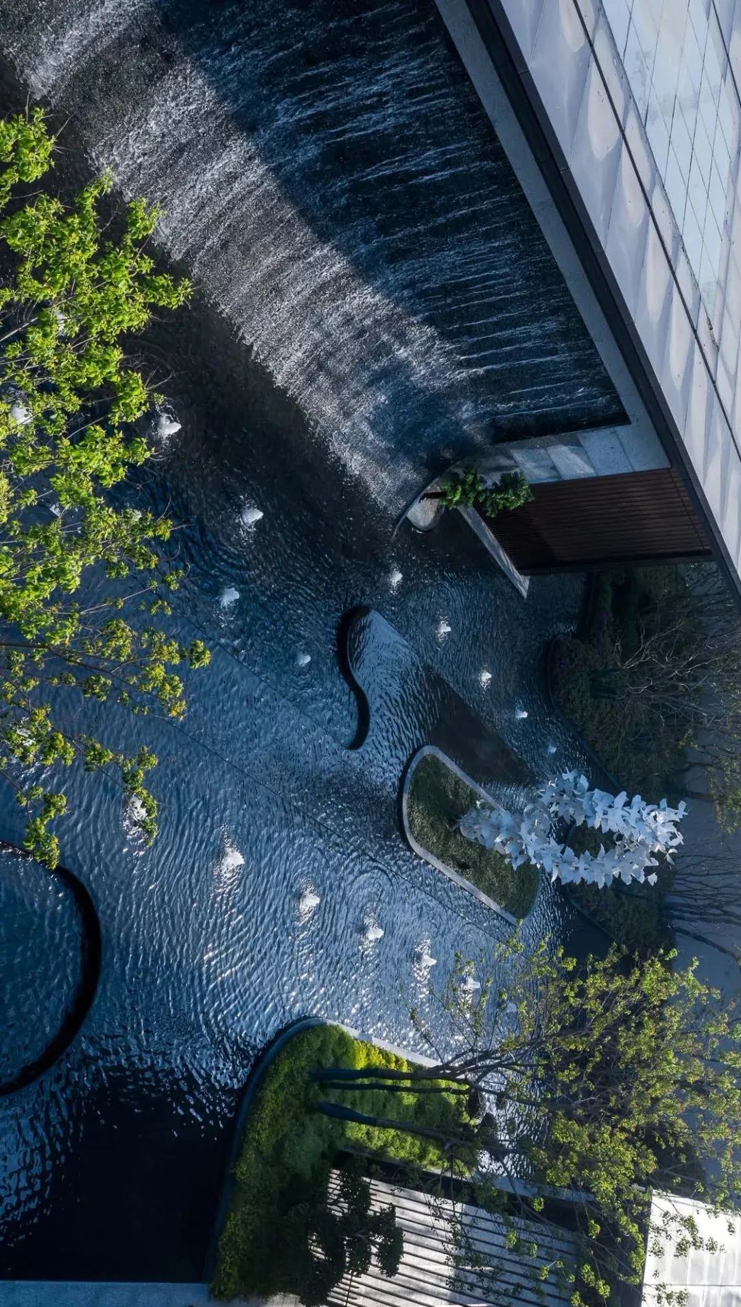 用心的植物搭配，超级美