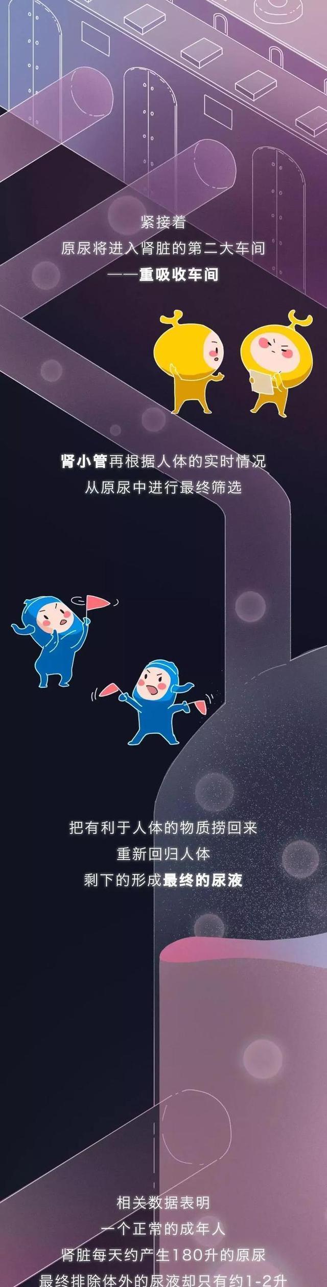 肾是如何被“掏空”的？一组漫画揭晓全程（替好友来看看）