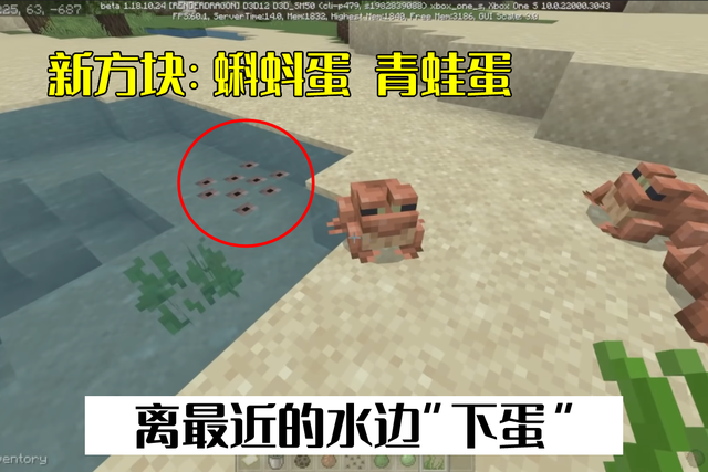 我的世界：1.19青蛙加入，海草史莱姆成“替死鬼”，基岩又抢跑