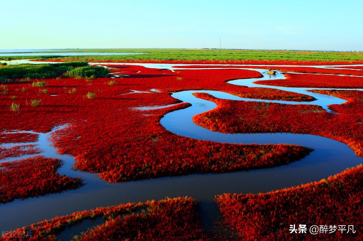 盘锦红海滩（辽宁５A景区）