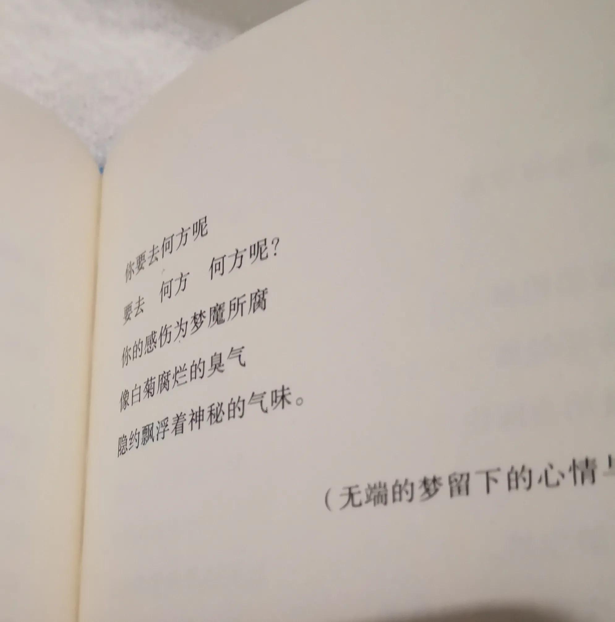 情人的手就像点心：日本近代诗之父和他的情诗