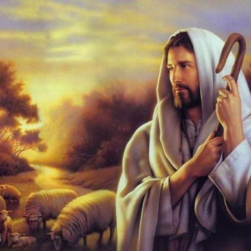 神秘预言书《圣经密码》！暗示40年后人类巨变，7大灾难席卷地球