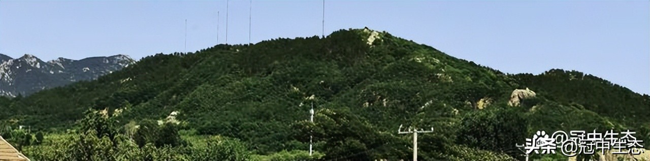 冠中生态｜揭开“优粒”土壤的神秘面纱