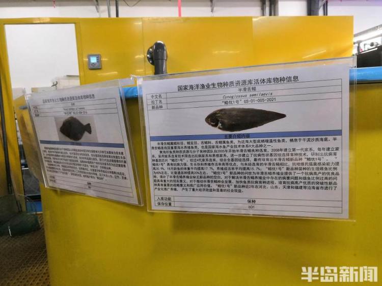 鱼类基因组秘密是被这位院士攻克的