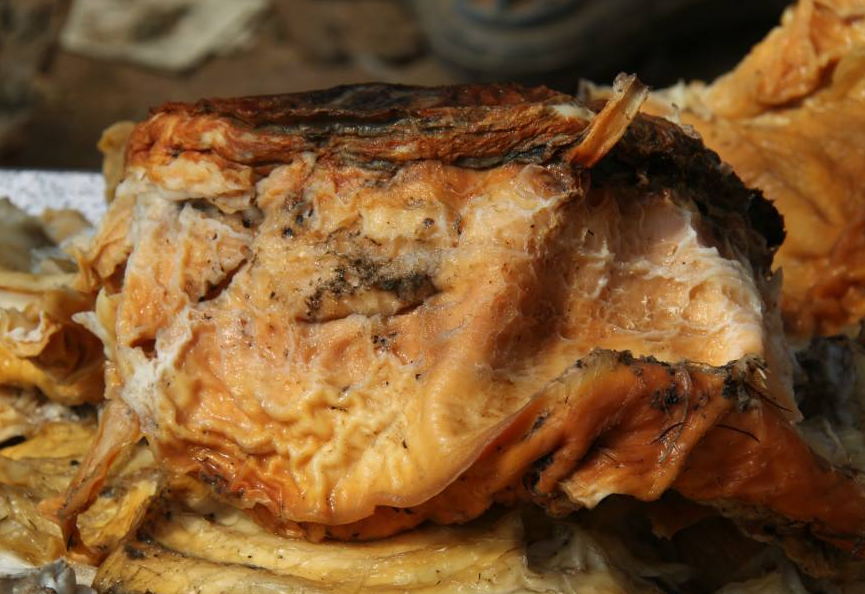 什么是太岁，不是植物不是动物的一坨“肉”，为什么能价值百万？