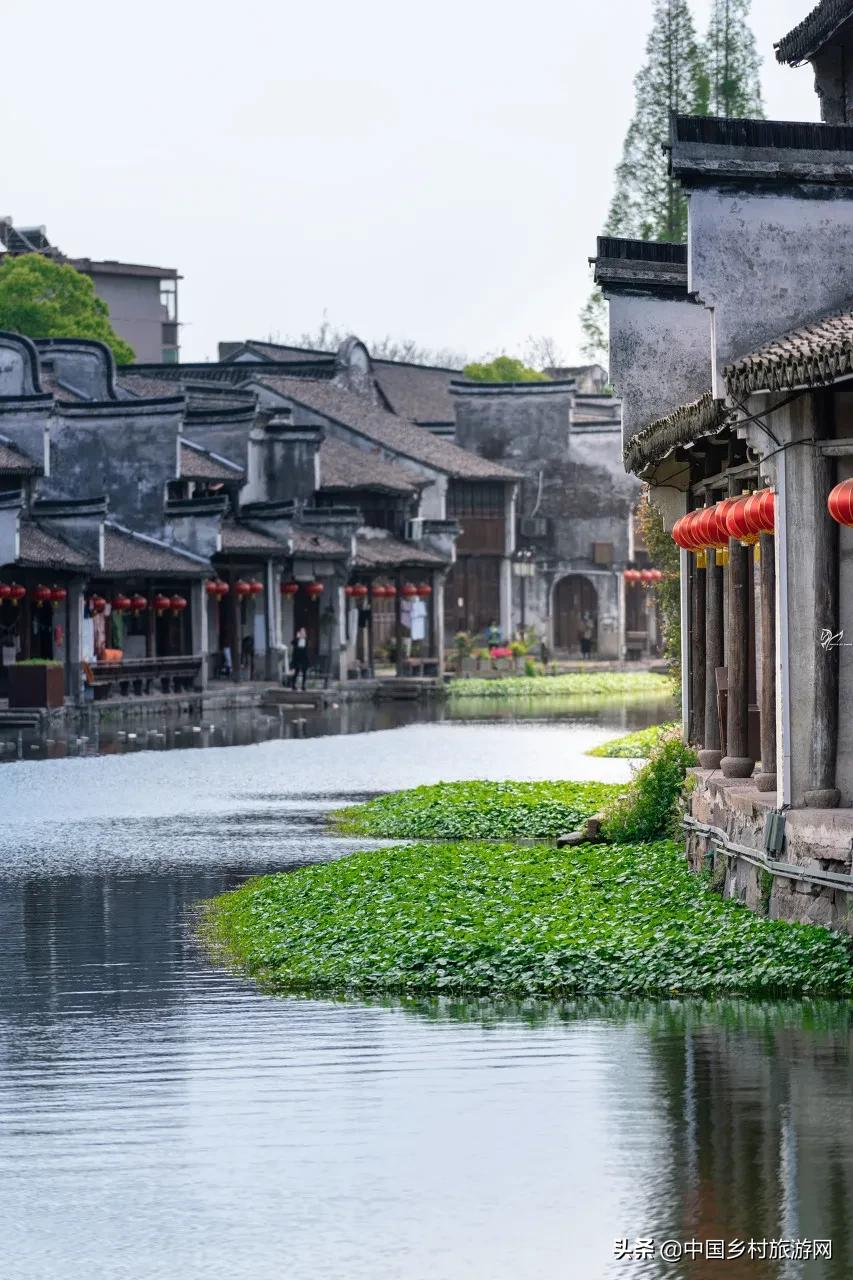 走遍江南九十九,不如南浔走一走丨等一个人,陪我去南浔……