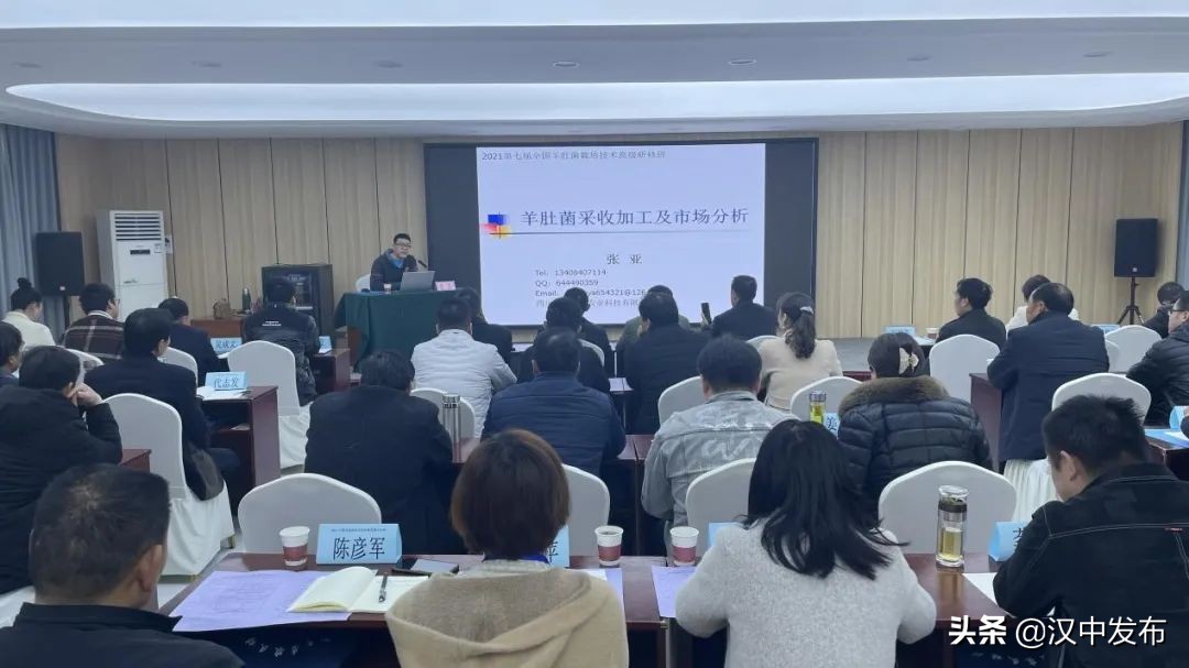 漢中人不可能不知道的“它”，每斤曾高達(dá)千元！