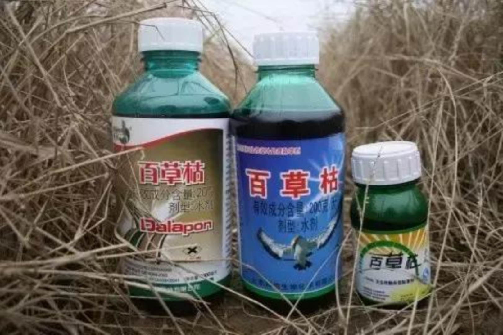 18岁女孩被姐夫投毒，医院多次下病危通知，喝了百草枯只能等死吗