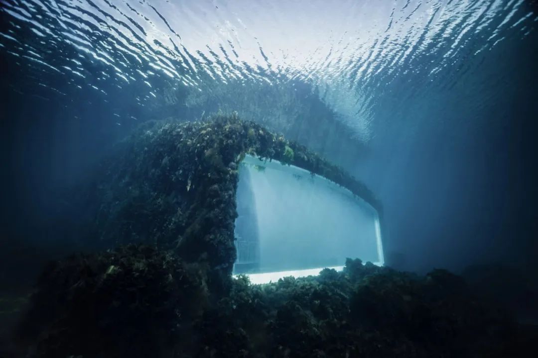 世界最大水下餐厅——挪威Under已完全“被大自然拥抱”