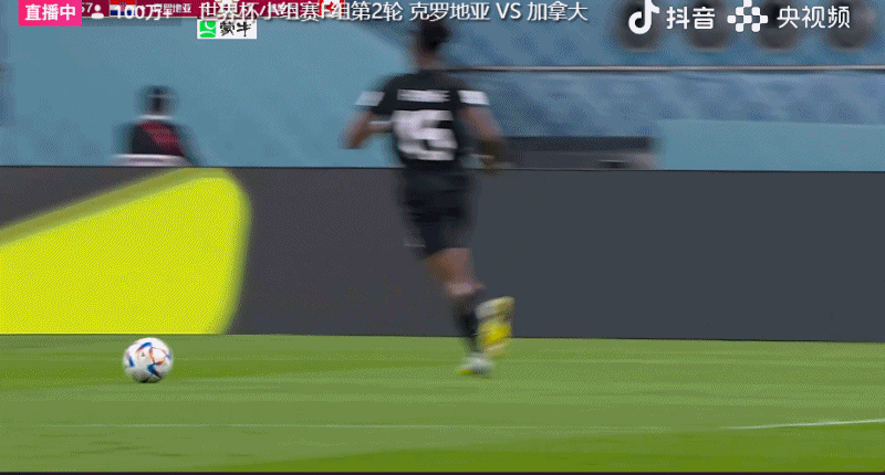 加拿大球队2022世界杯（世界杯-加拿大1-4克罗地亚小组出局 阿方索闪击 克拉马里奇双响）