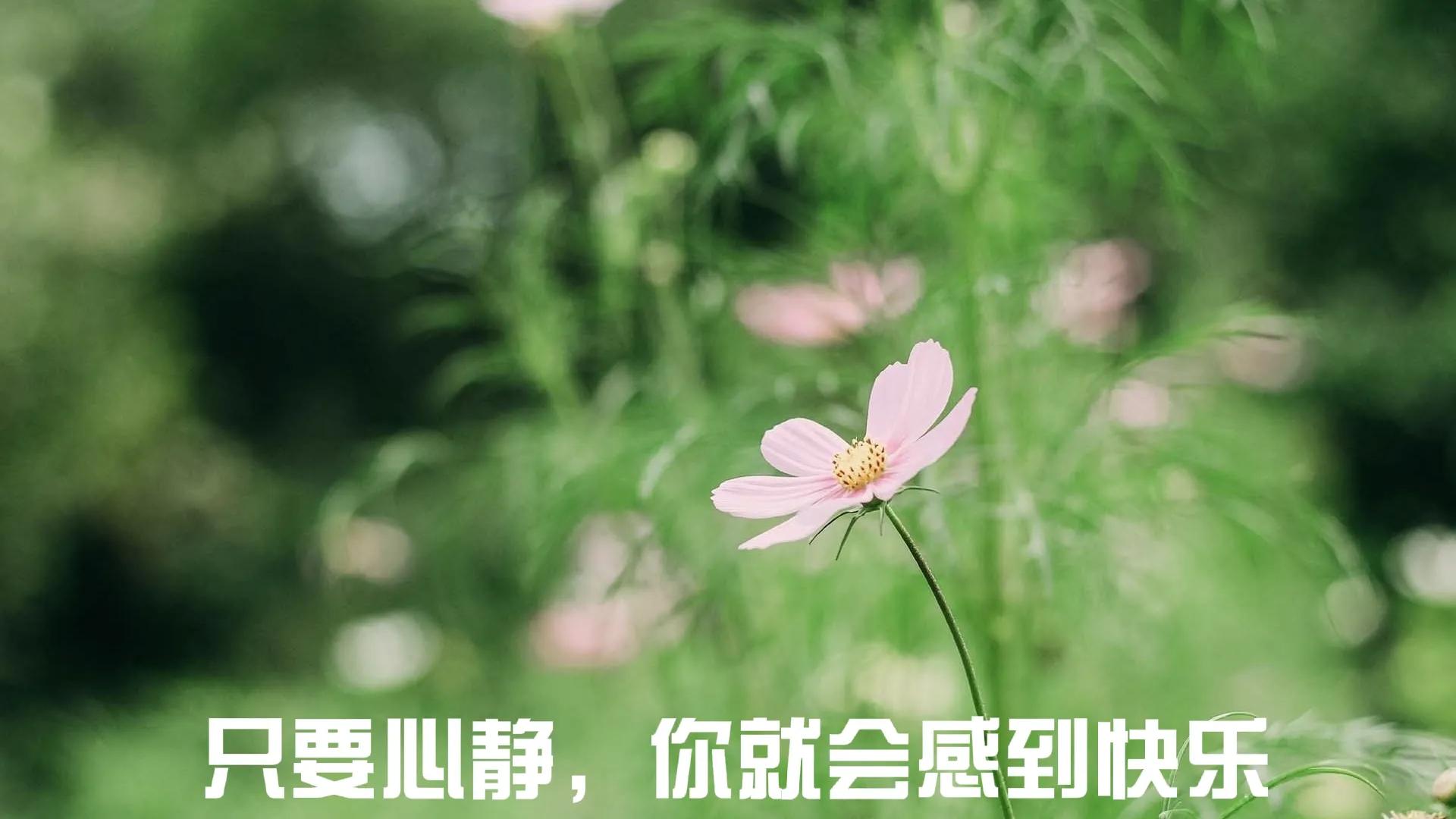 静下心,才能静静享受生活的美好