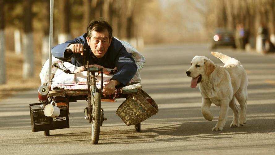 中国十部狗狗电影图片