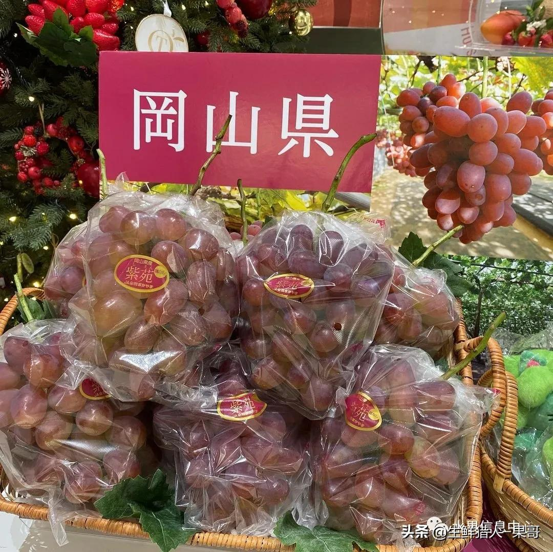 水果的一家（水果店的水果）