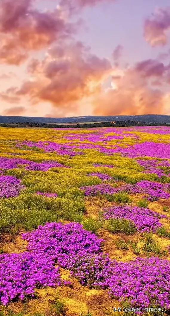 壁纸美图,美的风景为您带来愉快的心情