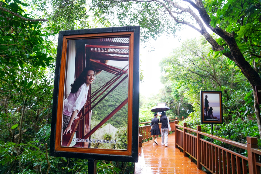 自驾海南，探寻雨林秘境，黎族村落到茶园深处，4天3晚游玩全攻略