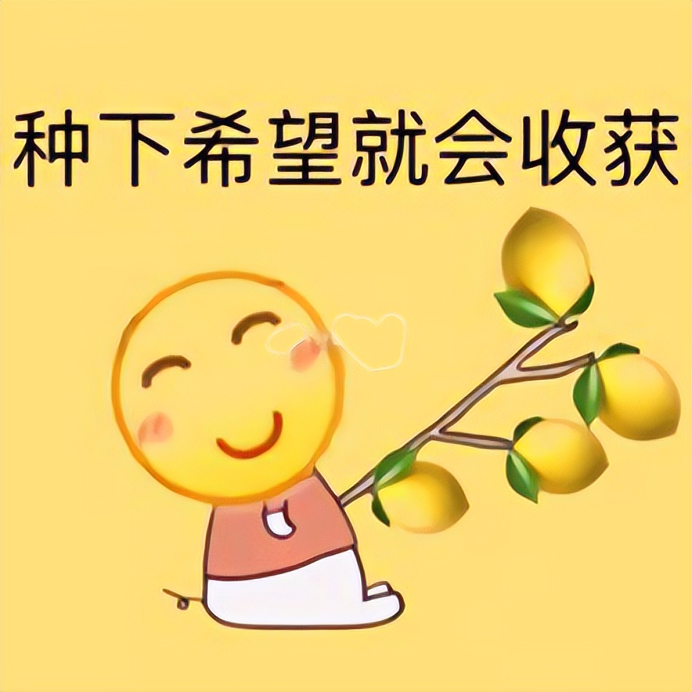 真香！干饭人的文件销毁躺平指南