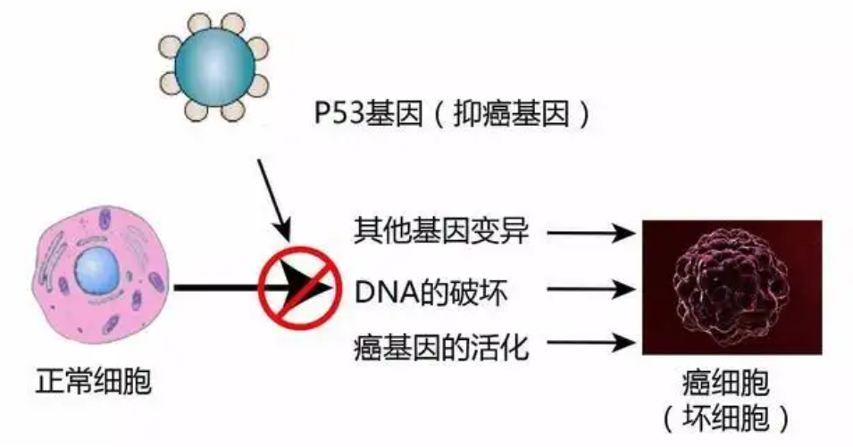��Ϊ���˵İ��أ������������17��Ⱦɫ���У��ܷ�򿪻�������