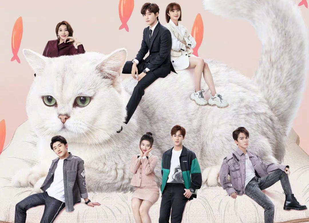 爱豆新版电视剧(今晚开播!