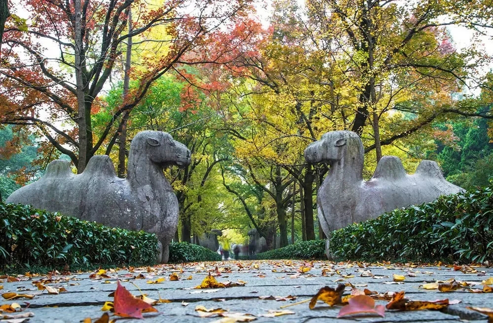 南京十大网红景点，景美独特好玩