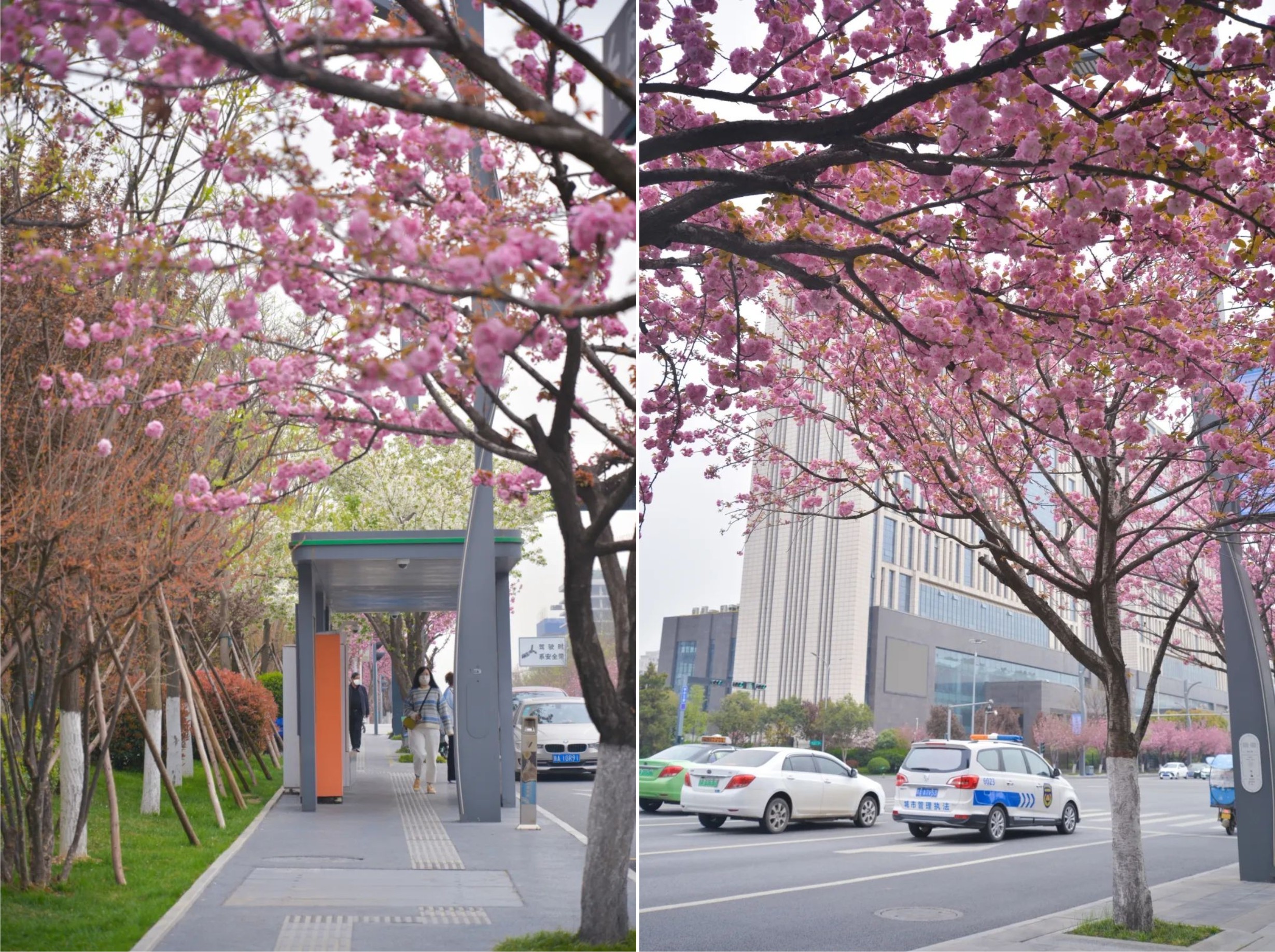 ������ء�ӣ���޶��������������ȡ��ۡ���