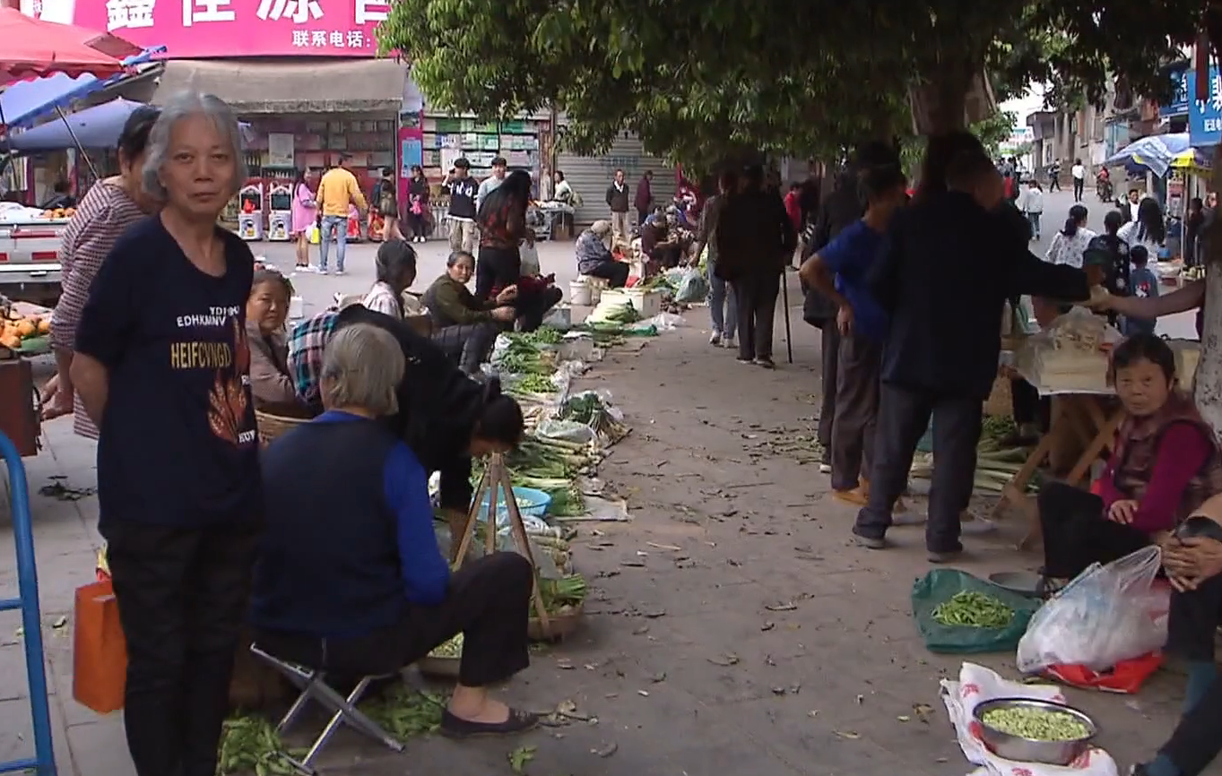 四川苏家兄弟覆灭史：12年豪夺数千万财产，当地民众“谈苏色变”