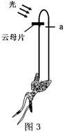 ൱yuʲôֲＤأ൱ʲôֲzhiＤࣩ-17ͼƬ-Ʒci