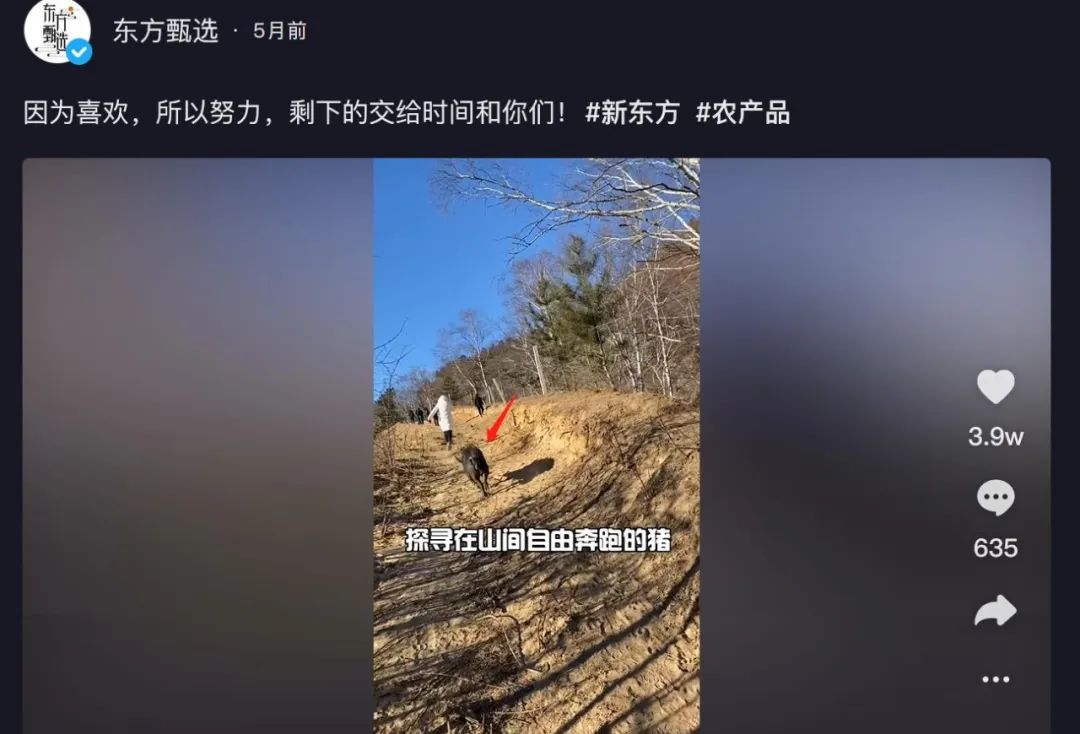 3天涨粉130万！从最惨企业家到爆火直播间，新东方成功“逆袭”了