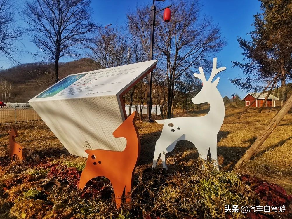 大唐鹿野苑，来自冬日里的一份思念（附自驾游行车线路图）
