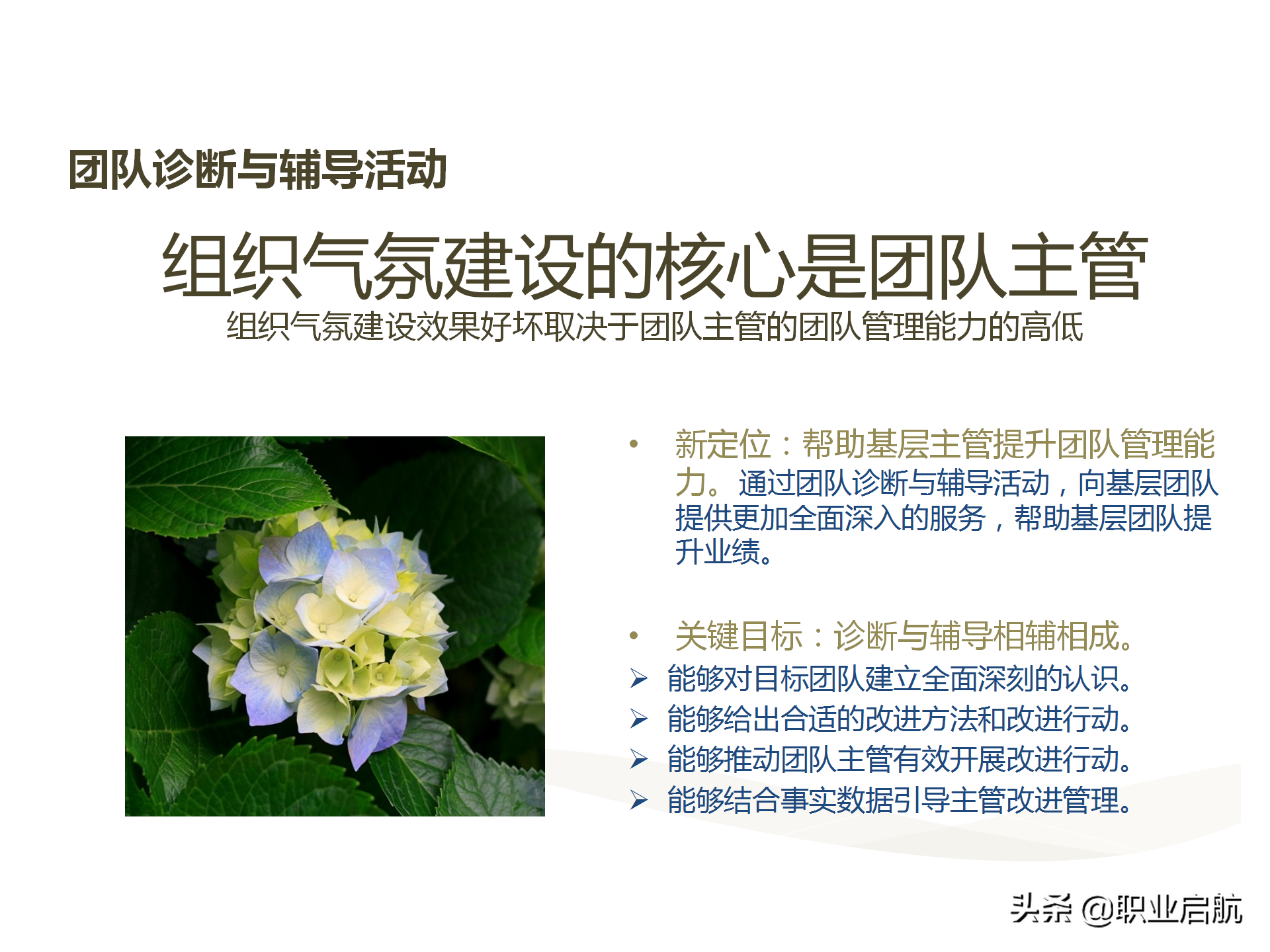 华为三支柱运作之HRBP实践分享