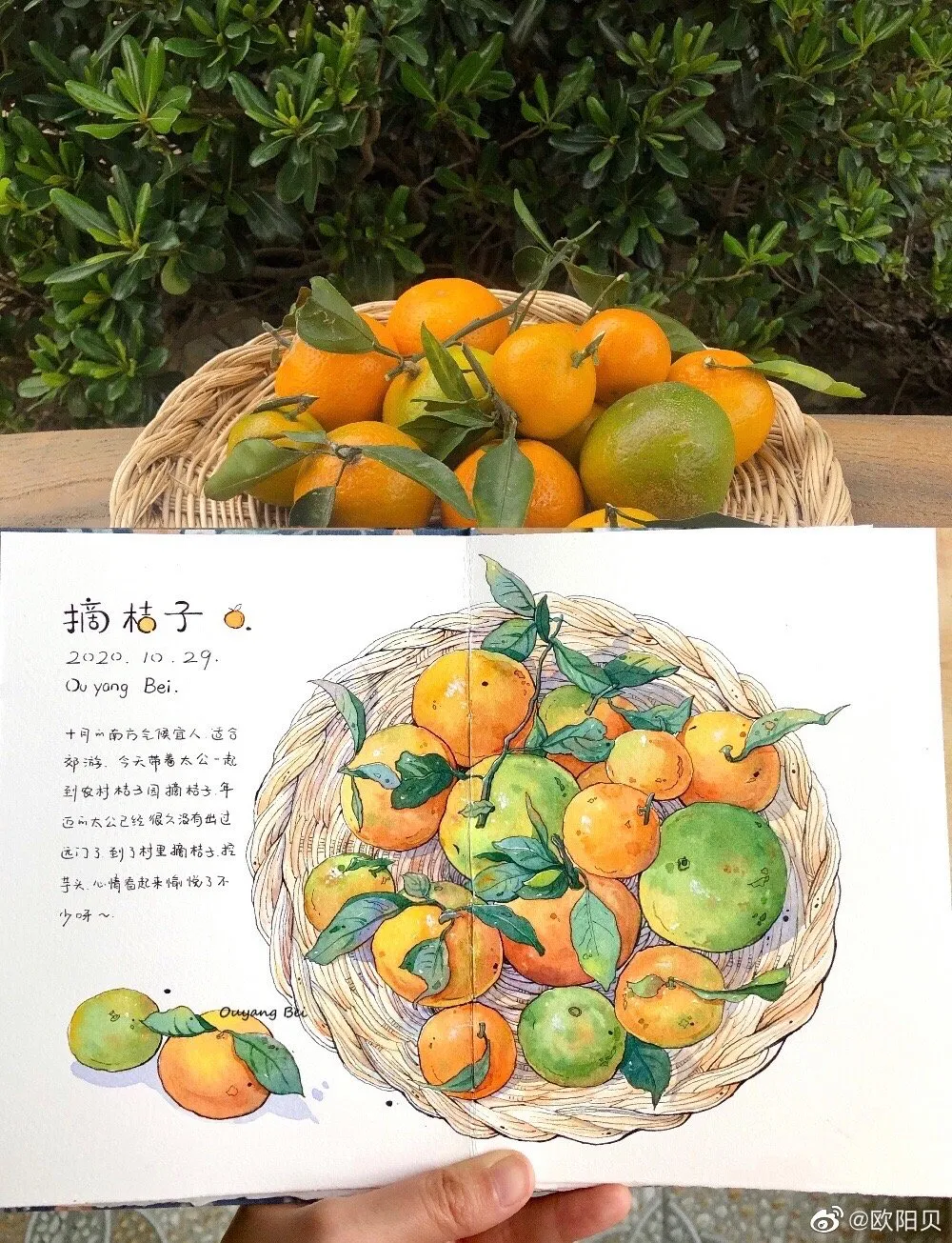 95后美女教你画钢笔淡彩，张张都是精品，构图和配色超棒