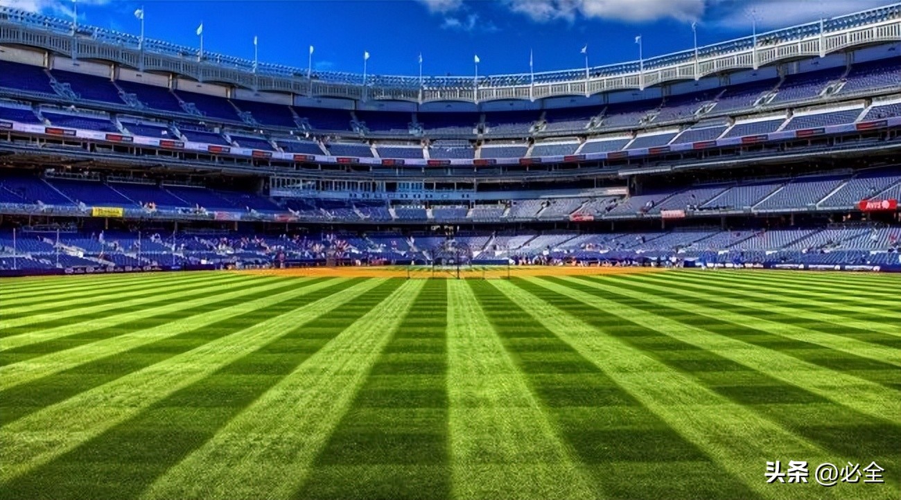 世界杯草皮是真草吗（世界杯足球场上的草坪有什么不一样？）