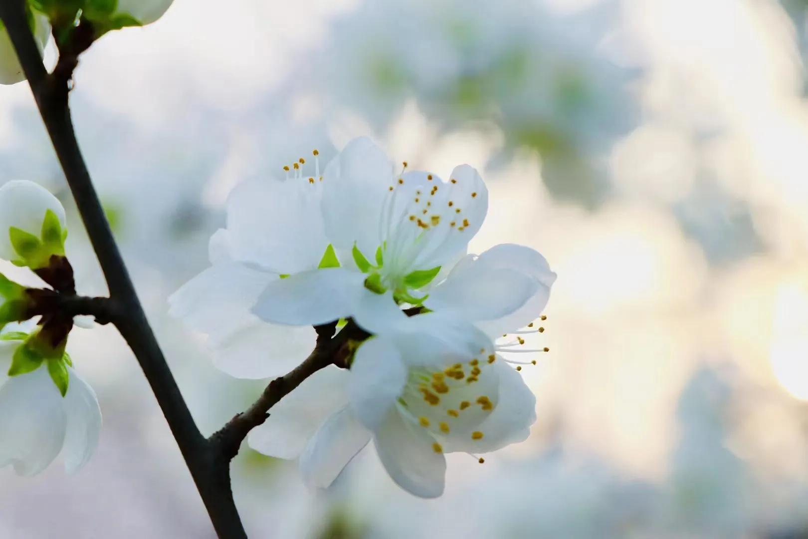 惊险刺激的一天（二）