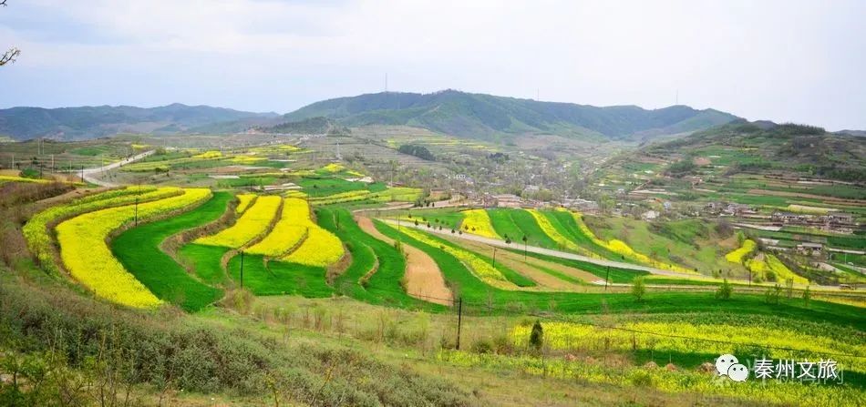 大美秦州五月天 田園風光似畫卷