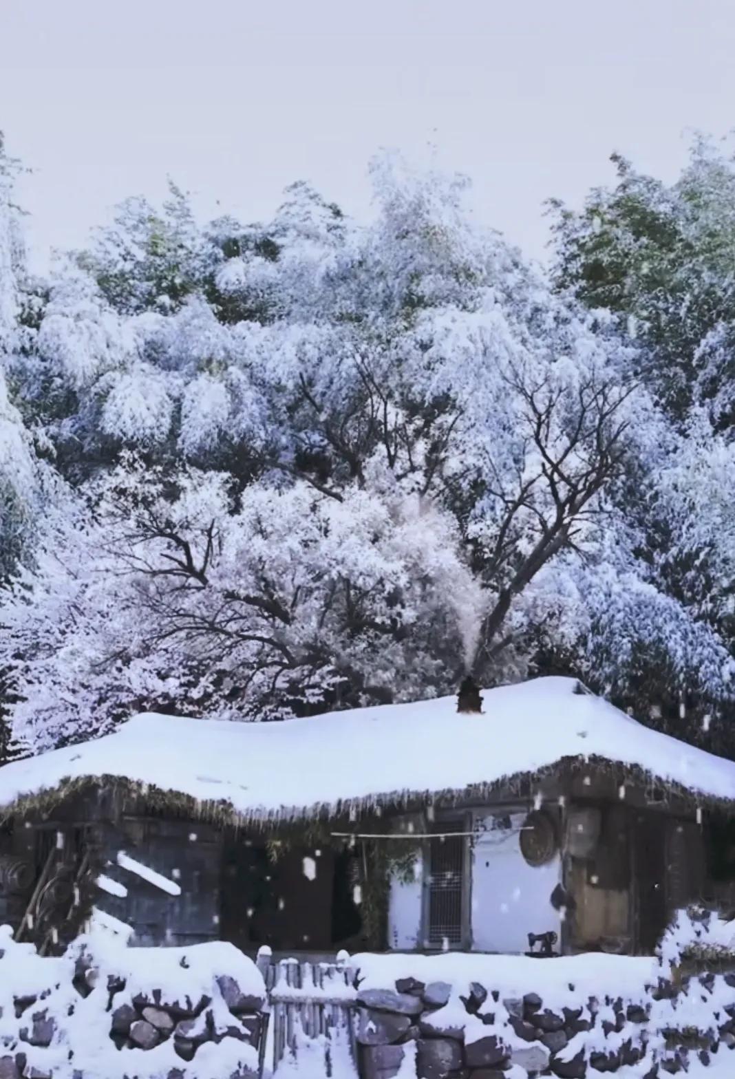 风雪夜被辱的母亲（7）