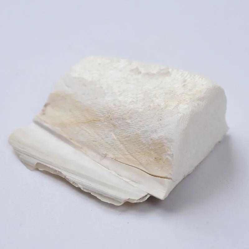 海螵蛸的功效与作用 海螵蛸的十大功效 - 春风号