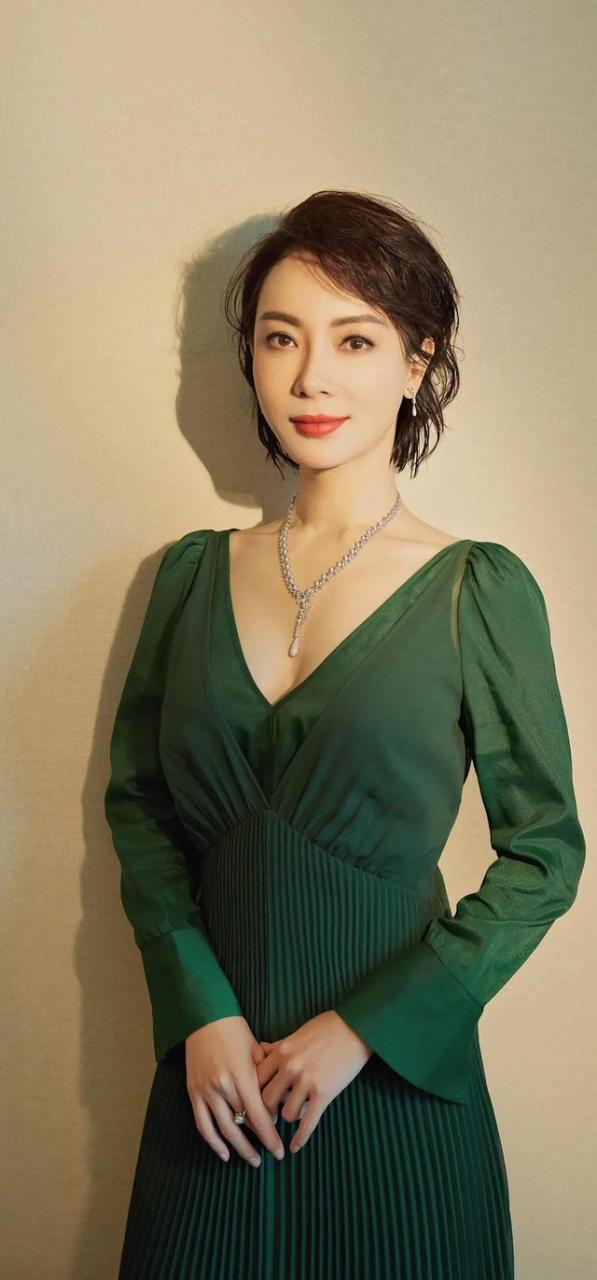陈数身穿v领晚礼服,展现美好曲线,完美容颜让人深陷其中,太绝