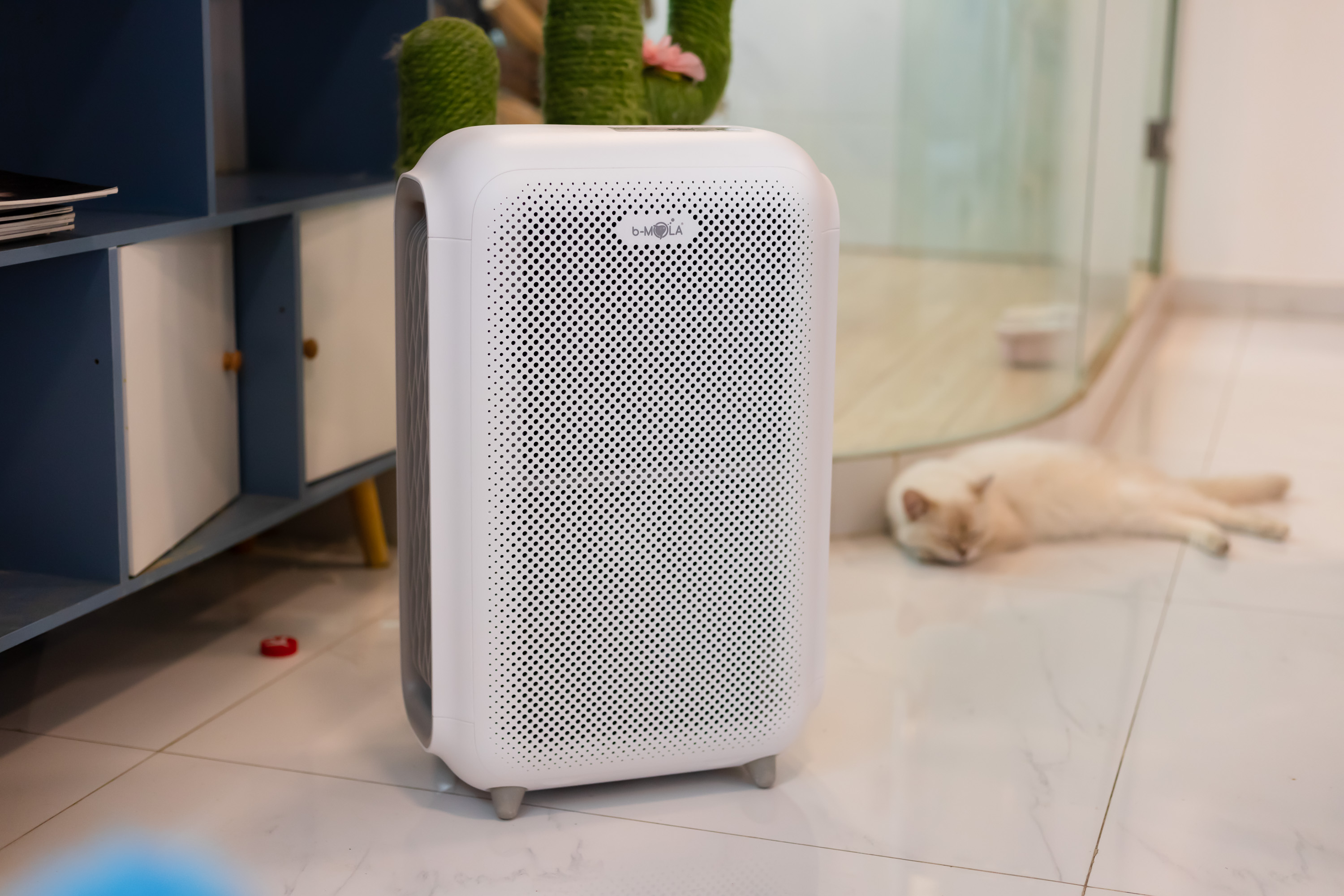 广州新家入住大半年，跟风入了不少新奇家电，这4件买得太值了