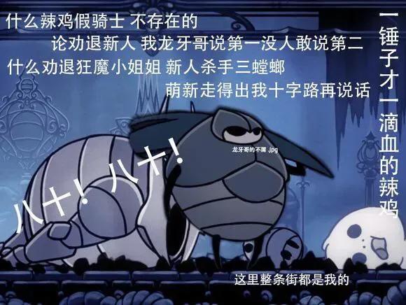 空洞骑士：不可多得的奇迹之作
