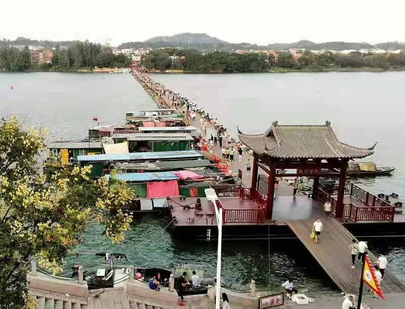 思帝乡·冬梅