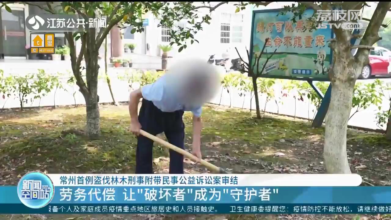 还需劳务代偿！常州首例盗伐林木刑事附带民事公益诉讼案审结