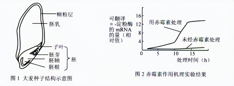 青鲜素相当于什么植物激素（青鲜素相当于什么植物激素类）-第6张图片-昕阳网