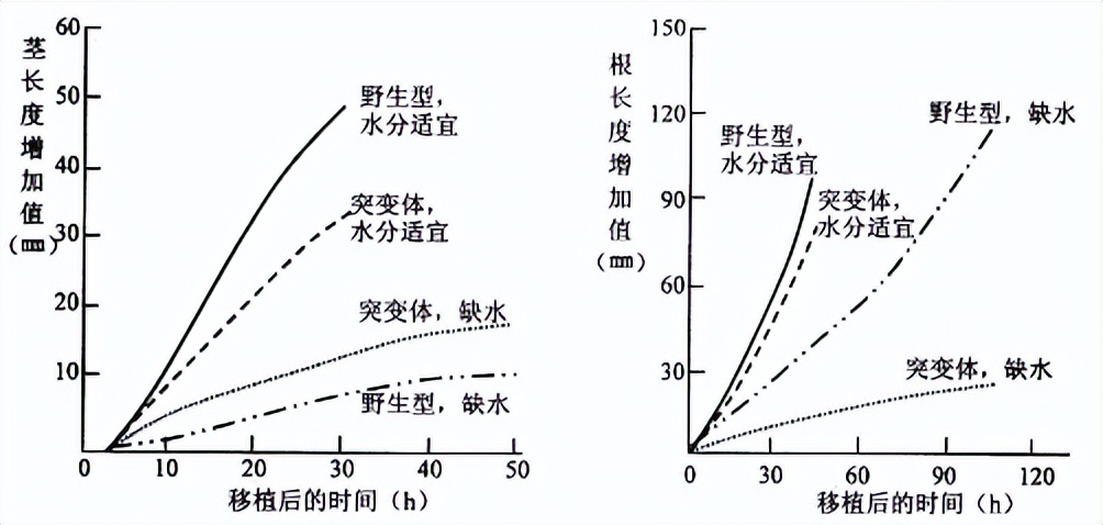 青鲜素相当于什么植物激素（青鲜素相当于什么植物激素类）-第22张图片-昕阳网