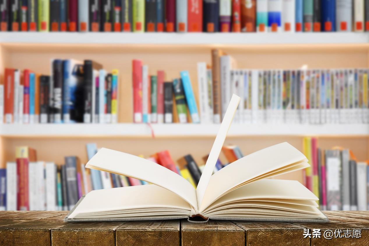 社会学专业（高考志愿填报）